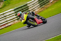 Advanced Group Multicolour Bikes